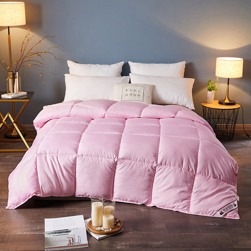 Down Duvet, Winter Duvet, Goose Down Duvet Core,