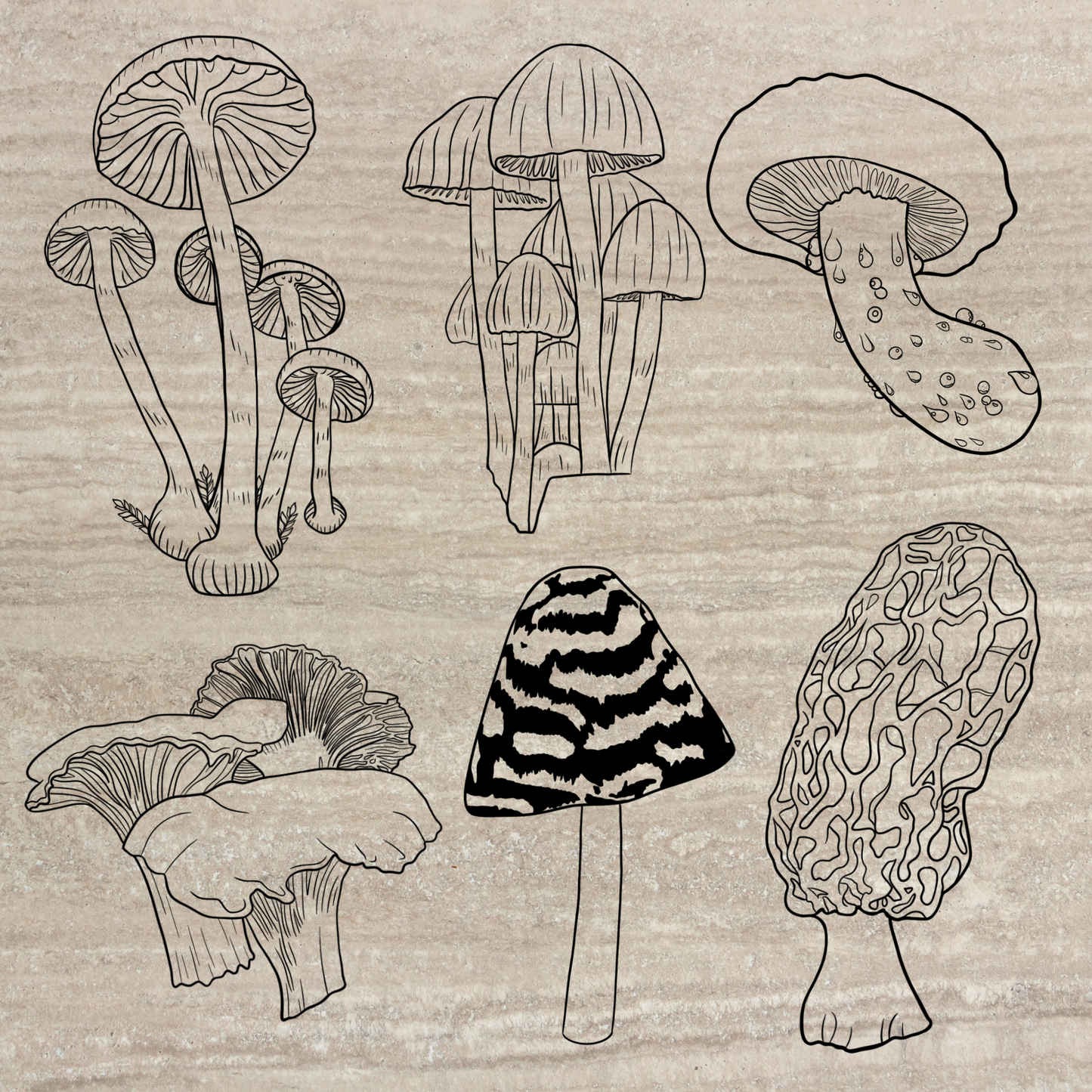 Mushroom digital bundle. 6 count. For laser cutting and cricut.